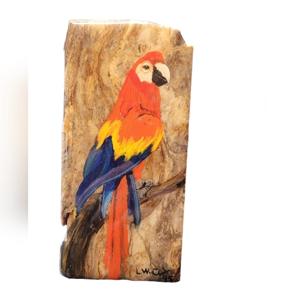 Macaw Painted on Stone Wedge